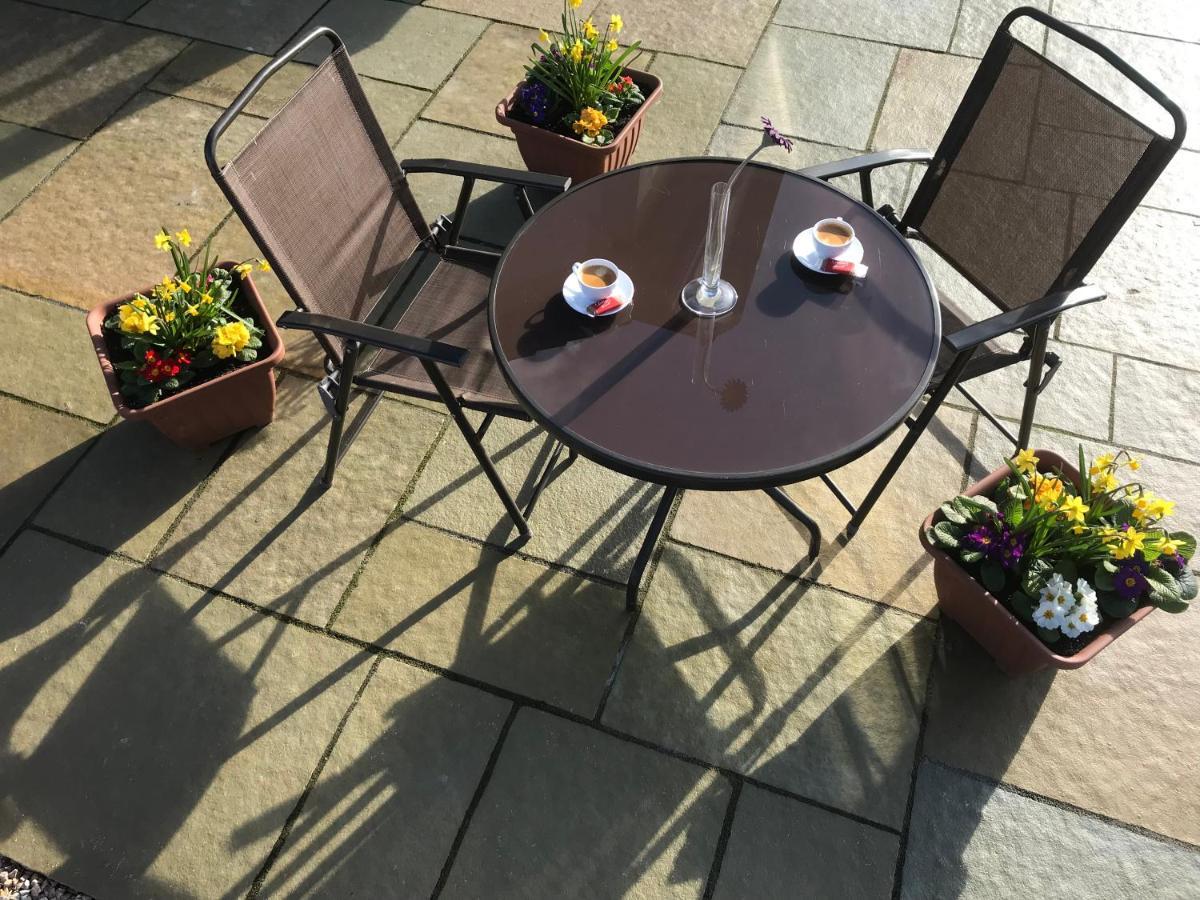 Oak Trees Corner Stylish , Relaxing , Getaway Lejlighed Wicklow Eksteriør billede