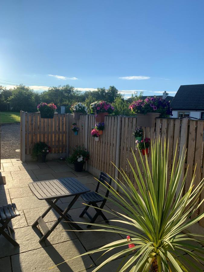 Oak Trees Corner Stylish , Relaxing , Getaway Lejlighed Wicklow Eksteriør billede